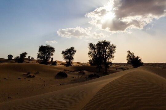 View of sunbeams piercing through clouds over dark trees and rolling sand dunes casting shadows in the Dubai Desert Conservation Reserve, Sharjah, United Arab Emirates.