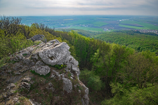 View of a rugged rock face descends into a vibrant green forest, contrasting with distant patchwork fields under a soft, overcast sky, Smolenice, Trnava Region, Slovakia.