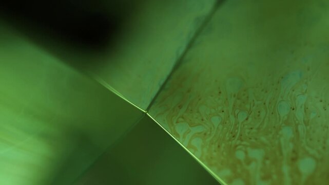 Green liquid surface, phenomenal structure, green oils on a dark background, colourful luminous abstract, surrealistic art, glowing effects