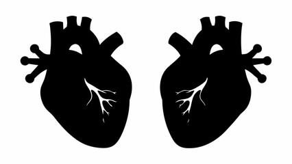 Two anatomical hearts in black silhouette with white veins on a plain white background design element