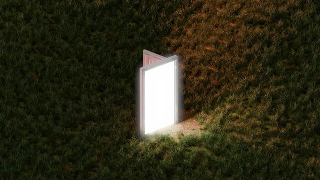 3D loop satisfying door pathway animation