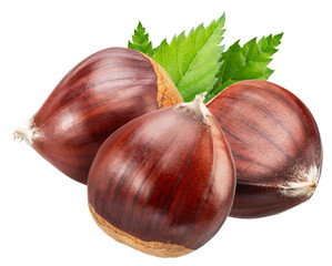 Obraz premium Raw edible chestnuts with green leaves on white background. File contains clipping paths.