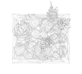 Black and white pineapple drawing arranged in a geometric wireframe pattern on a clean white background. This minimalist fruit basket illustration has a modern, structured design.