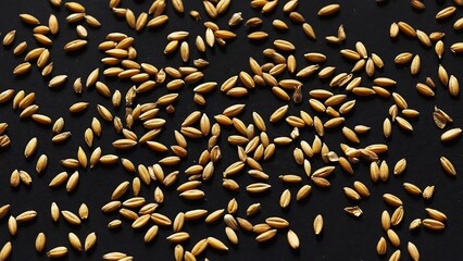 Rice grains on black background