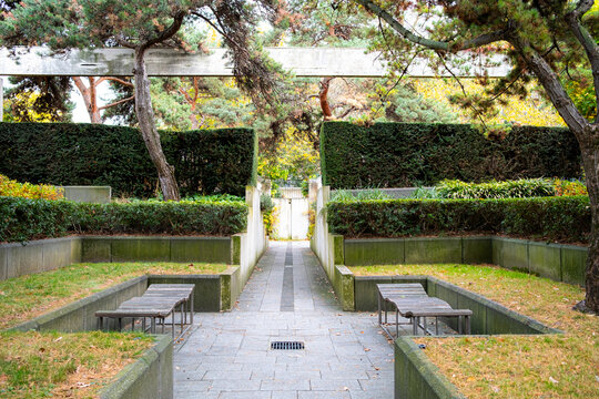 Geometric garden architecture in autumn with a pathway between vegetation and concrete expressing landscape design within an urban park free of no people