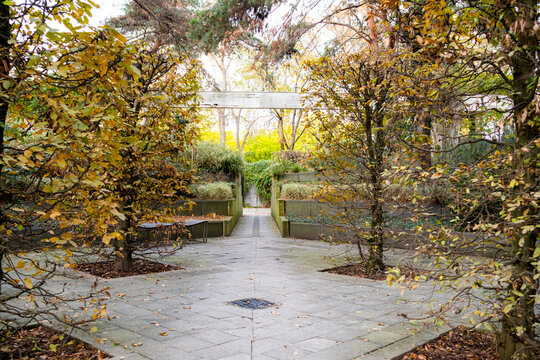 Autumn garden pathway surrounded by vegetation and concrete forms expressing geometric landscape design ideals in an urban park setting with no people present
