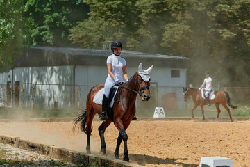 Equestrian sport, young woman riding a horse in dressage competition, outdoor training, horse...