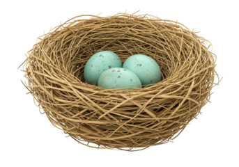 Isolated Birds Nest with Three Eggs a Symbol of Spring, Birth and Easter Holidays