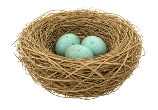 Isolated Birds Nest with Three Eggs a Symbol of Spring, Birth and Easter Holidays