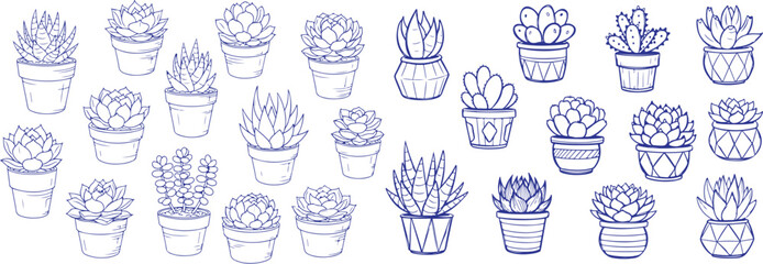 Vector art of hand drawn blue outline of various potted succulents isolated on