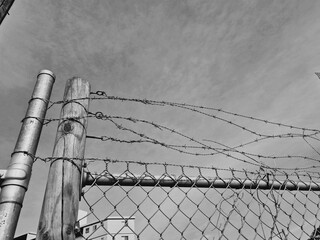 Black and white close-up of barbed wire coiled around the top edge of a fence, against a whispy...