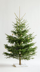 Decorated Christmas Tree with Ornaments
Festive Holiday Tree Indoors
