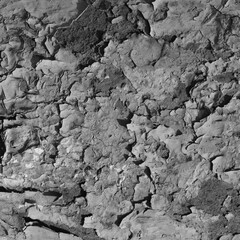 A concrete wall covered with paint with a texture of defects and cracks