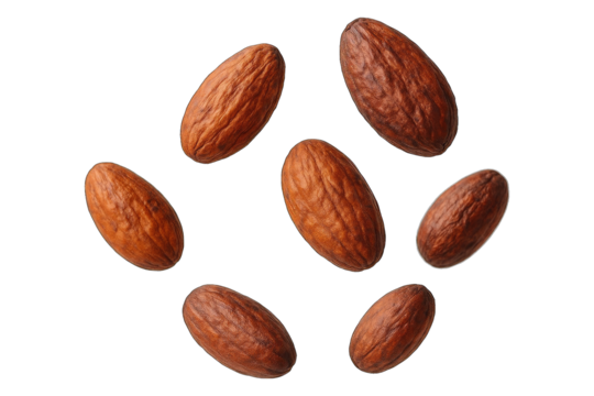 Brown cocoa beans isolated