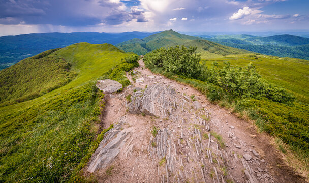 Hiking trail to Smerek Mountain on Wetlina high pasture in Bieszczady National Park, Subcarpathian Voivodeship of Poland