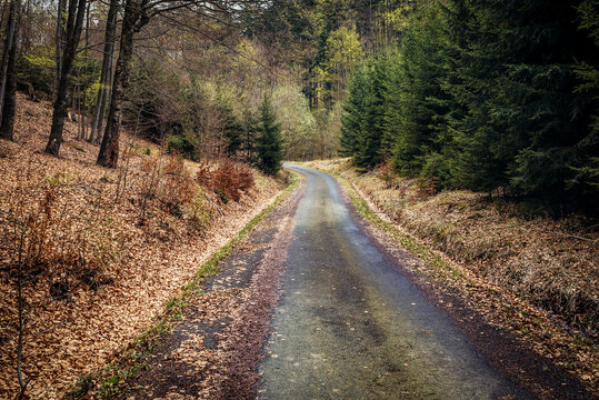Forest road in Moravian Wallachia Beskids mountains in Czech Republic, near Vsetin town
