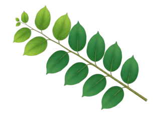 Brown soil pile isolated on transparent background representing agriculture or gardening concept with a single small green leaf sprout on a thin branch