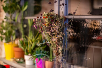 Dried wildflowers in a transparent glass jar placed on a windowsill with blurred indoor plants in colorful pots in the background.