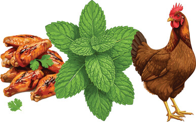 Grilled chicken wings, fresh mint leaves, standing brown chicken, food contrast, culinary theme, farm origin, white background, herb garnish