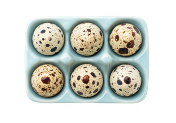 Isolated Quail eggs in light blue holder, raw ingredients for cooking, preparing meal, delicacy
