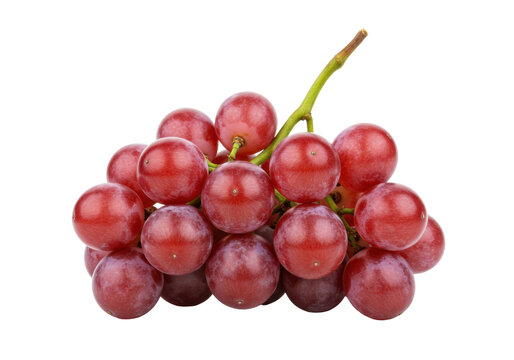 Isolated vibrant bunch of fresh red grapes, a healthy fruit for snacking, juicing and making wine