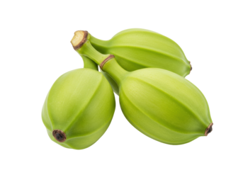 Isolated view of green unripe plantain fruit, cooking banana crop with natural appearance