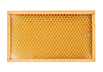 Isolated beekeeping frame with honeycomb, wax foundation, bee hive cell structure, beeswax