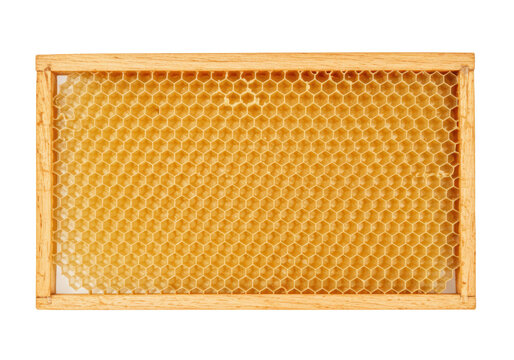 Isolated beekeeping frame with honeycomb, wax foundation, bee hive cell structure, beeswax