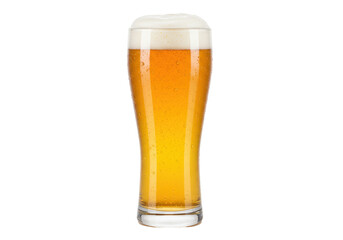 Isolated refreshing glass of blond beer with foam head, popular beverage, beer in pub