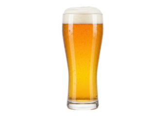 Isolated refreshing glass of blond beer with foam head, popular beverage, beer in pub