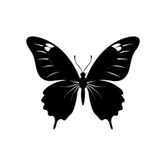 Elegant black butterfly silhouette vector illustration design
