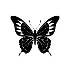 Black butterfly silhouette with intricate wing patterns graphic