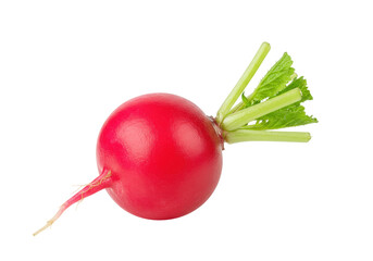 Isolated radish for food and nutrition advertising with smooth red peel and vibrant green top