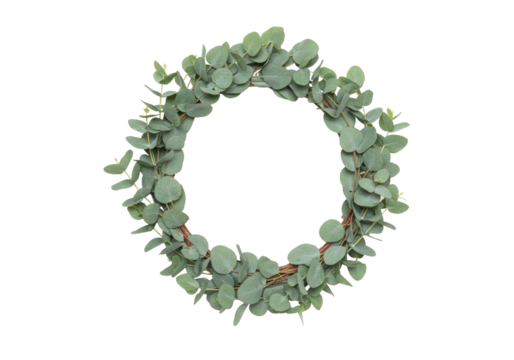 Isolated green eucalyptus wreath on background, spring decoration, round frame