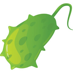 Green Spiky Fruit with a Curled Stem on Transparent Background