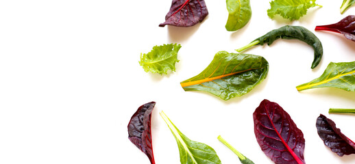 Mixed of fresh vegetable green leaves, including green kale and red-veined chard on white background.