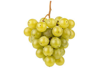 Isolated ripe bunch of grapes, healthy fruit, summer snack, dessert, nature harvest
