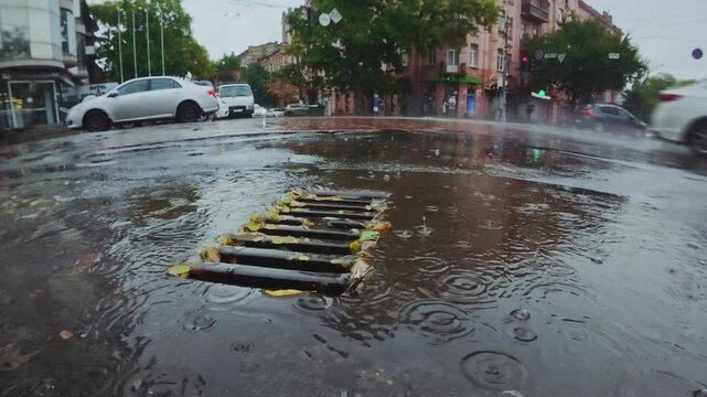 Time lapse, Water mixed with fallen leaves flows into drainage system, with cars driving across an urban intersection in background. Raindrops fall into autumn puddles and flow into storm drains.