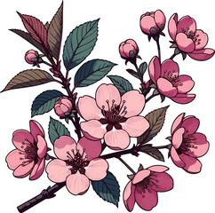 Isolated a Pink glossy realistic flower. Isolated realistic pink blossom vector art with white background..