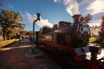 The historic "Rasender Roland" narrow-gauge steam locomotive stands at a rural station on the island of R&uuml;gen, Germany. Steam billows against a clear blue sky, framed by vibrant autumn foliage.