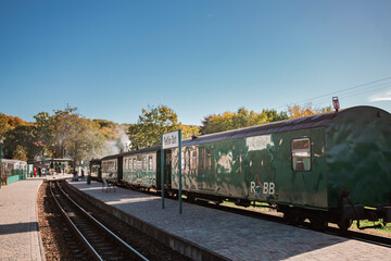 The historic "Rasender Roland" narrow-gauge steam locomotive stands at a rural station on the island of R&uuml;gen, Germany. Steam billows against a clear blue sky, framed by vibrant autumn foliage.