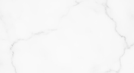 White marble texture background with subtle grey veining.