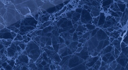 Abstract blue marble texture with intricate white veining.