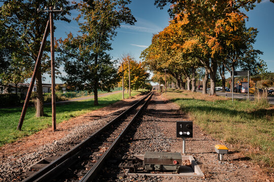 Perspective view of the narrow-gauge railway tracks leading into the distance, lined by trees with early autumn foliage under a dramatic blue sky with wispy clouds. - Powered by Adobe