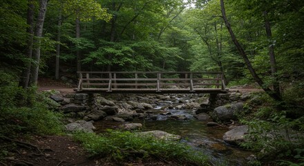 Wooden bridge spanning a tranquil stream in a lush forest. Peaceful scene with a rustic wooden footbridge over a babbling brook.