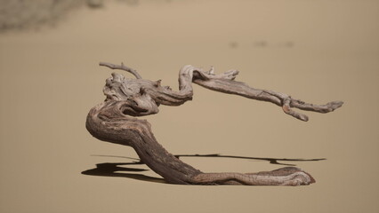 Fototapeta premium A weathered driftwood log resting on a sandy desert beach