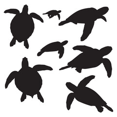 Sea turtle silhouettes