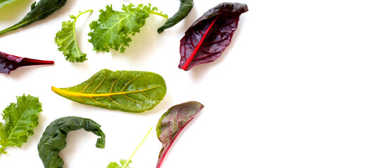 Mixed of fresh vegetable green leaves, including green kale and red-veined chard on white background.