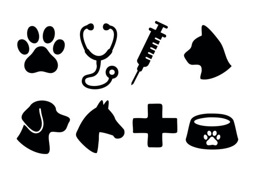 Silhouettes of common veterinary symbols including a paw, stethoscope, syringe, and animal heads. Ideal for illustrating topics related to pet health and veterinary services.