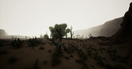 Naklejka premium A tranquil desert landscape showcases various cacti and shrubs. The hazy sky casts a soft glow over the mountains in the distance, creating a serene atmosphere at dusk.